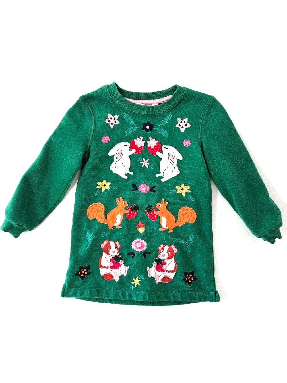 Mini Boden Cosy Appliqué Sweatshirt Dress Green Long Sleeve Woodland Animal 2-3Y